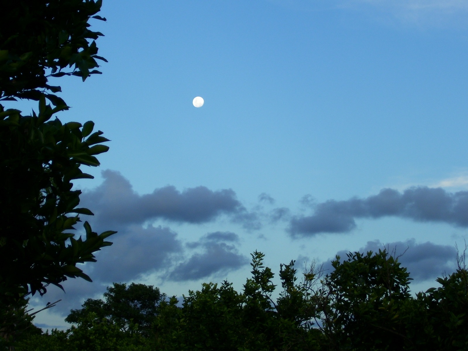 Día Internacional del Aire Limpio por un cielo azul