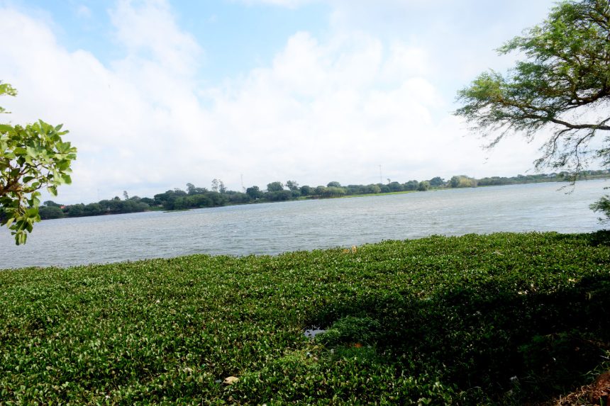 Guapilo, una laguna de regulación de aguas residuales no aptas para nadar ni pescar