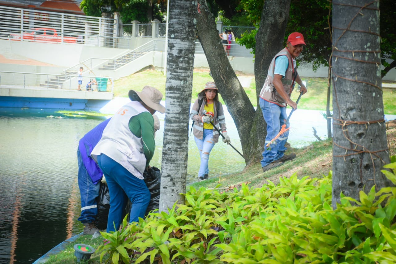Alcaldía intensifica limpieza y fumigación en el centro de la ciudad para combatir el dengue